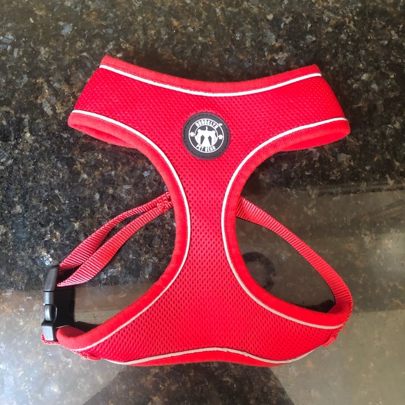 brooklyn pet gear Other - NWT Brooklyn Pet Gear Large Harness